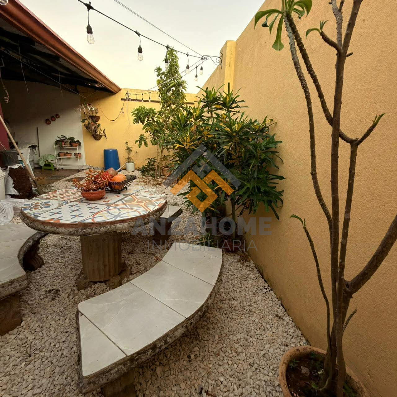 received_1482831086883528