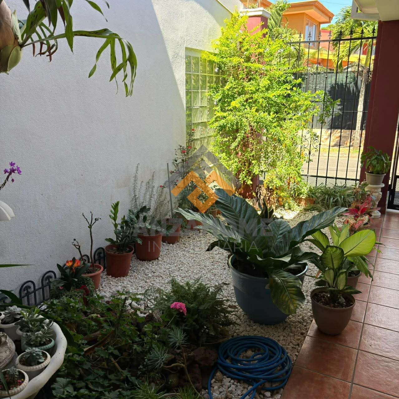 received_1786606652313246